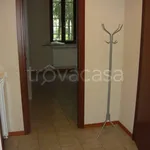 Rent 2 bedroom apartment of 55 m² in Cremona