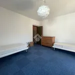 Rent 4 bedroom apartment of 100 m² in Trento