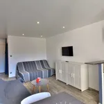 Rent 1 bedroom apartment of 22 m² in Saint-Cyprien