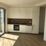 Rent 2 bedroom apartment of 59 m² in Brno