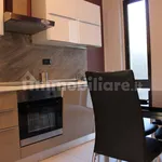 Rent 1 bedroom apartment of 50 m² in Turin