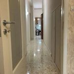 Bilocale arredato con terrazzo Centro