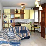 Rent 2 bedroom apartment of 60 m² in Noale