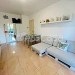 Rent 3 bedroom apartment of 62 m² in Riccione