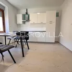 Rent 2 bedroom apartment of 57 m² in Pula