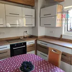 Rent 1 bedroom house of 150 m² in Mohelnice