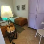 Appartamento arredato con terrazzo Centro