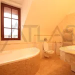 Rent 3 bedroom apartment of 110 m² in Prague