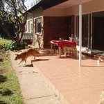 Rent a room in Pretoria