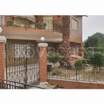 Rent 2 bedroom apartment of 55 m² in Castelvetrano