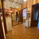 Rent 3 bedroom apartment of 85 m² in Torino