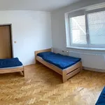 Rent 6 bedroom apartment in Uherské Hradiště