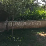 Rent 3 bedroom house of 75 m² in Carovigno