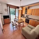 Rent 1 bedroom apartment of 45 m² in Verona