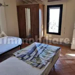 Rent 2 bedroom apartment of 50 m² in Siena