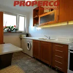 Rent 4 bedroom apartment of 66 m² in Kielce