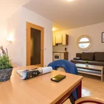 Rent 1 bedroom apartment of 344 m² in vienna