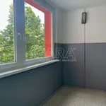 Pronajměte si 2 ložnic/e byt o rozloze 45 m² v Prague