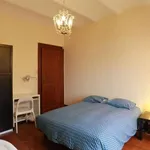 Rent a room in brussels