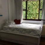 Rent a room in san_sebastian