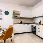 Rent 1 bedroom apartment of 70 m² in bologna