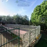 Rent 5 bedroom house of 150 m² in Capalbio