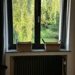  appartement avec 1 chambre(s) en location à Arlon