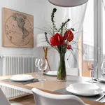 Rent 1 bedroom apartment in Bologna