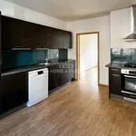 Rent 1 bedroom house of 128 m² in České Budějovice