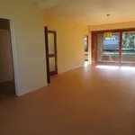 Maison de 123 m² avec 1 chambre(s) en location à Rodez