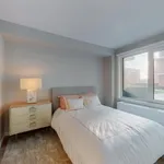 Rent 2 bedroom apartment of 1340 m² in New York