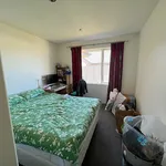 Rent 4 bedroom house in Christchurch