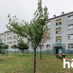 Rent 1 bedroom apartment of 37 m² in Katowice