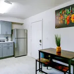 Rent 1 bedroom apartment in Tampa