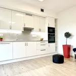 Rent 1 bedroom apartment of 44 m² in Brno