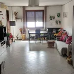 Rent 3 bedroom apartment of 90 m² in Novara