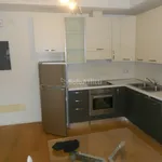 Rent 2 bedroom apartment of 60 m² in Padova