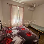 Rent 3 bedroom apartment of 85 m² in Roma