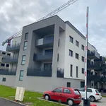 Appartement de 42 m² avec 2 chambre(s) en location à THIONVILLET