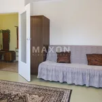 Rent 2 bedroom apartment of 49 m² in Piaseczno