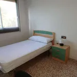 Rent a room in murcia