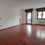 Rent 5 bedroom apartment of 149 m² in Padua