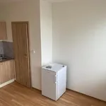 Rent 1 bedroom apartment in Praha 4