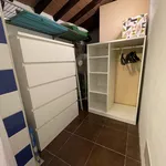 Rent 1 bedroom apartment in Florence