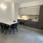 Rent 2 bedroom apartment of 45 m² in Turin