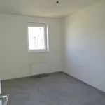 Rent 3 bedroom house in Aalst