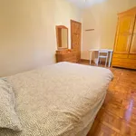 Alquilar 4 dormitorio apartamento en Pamplona