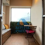 Rent 2 bedroom apartment of 50 m² in Florence