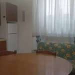 Rent 4 bedroom apartment of 80 m² in Piacenza