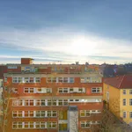 Rent 3 bedroom apartment in Berlin